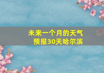 未来一个月的天气预报30天哈尔滨