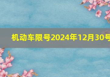 机动车限号2024年12月30号