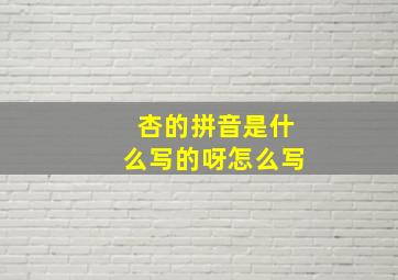 杏的拼音是什么写的呀怎么写