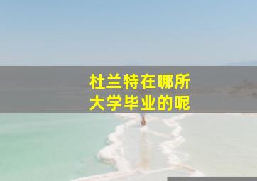 杜兰特在哪所大学毕业的呢