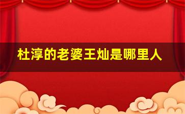 杜淳的老婆王灿是哪里人