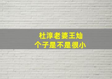 杜淳老婆王灿个子是不是很小