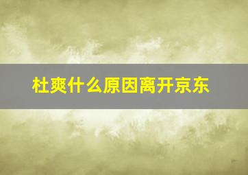 杜爽什么原因离开京东