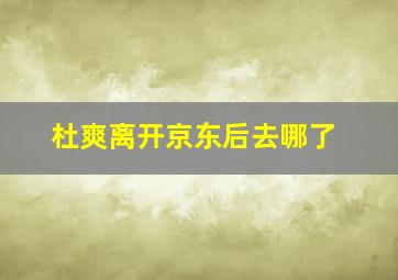 杜爽离开京东后去哪了