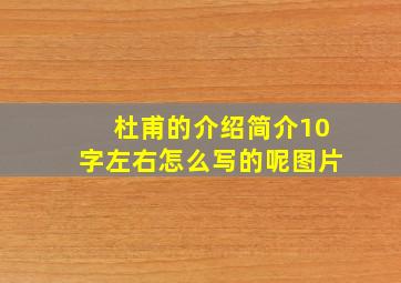 杜甫的介绍简介10字左右怎么写的呢图片