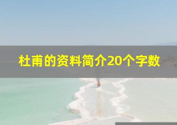 杜甫的资料简介20个字数