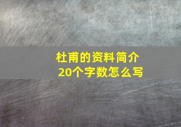 杜甫的资料简介20个字数怎么写