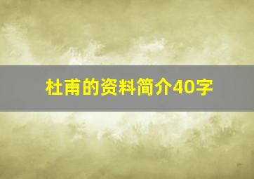 杜甫的资料简介40字