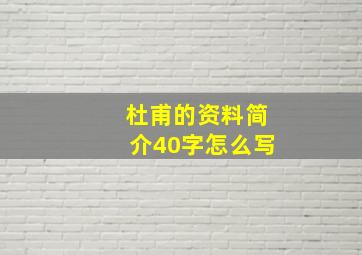 杜甫的资料简介40字怎么写