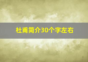 杜甫简介30个字左右