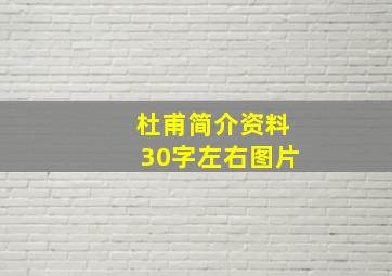 杜甫简介资料30字左右图片