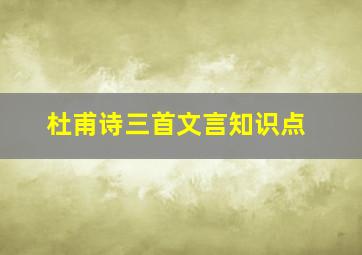 杜甫诗三首文言知识点