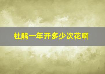 杜鹃一年开多少次花啊