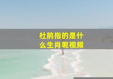 杜鹃指的是什么生肖呢视频