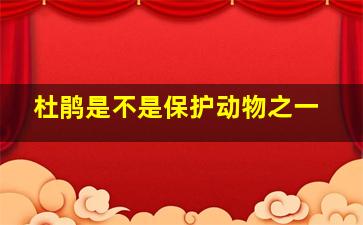 杜鹃是不是保护动物之一