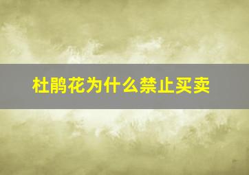 杜鹃花为什么禁止买卖