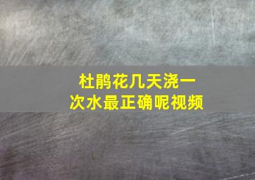 杜鹃花几天浇一次水最正确呢视频