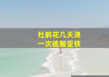 杜鹃花几天浇一次硫酸亚铁