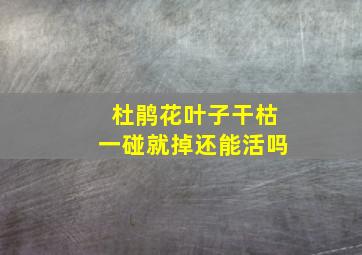 杜鹃花叶子干枯一碰就掉还能活吗