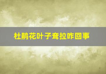 杜鹃花叶子耷拉咋回事