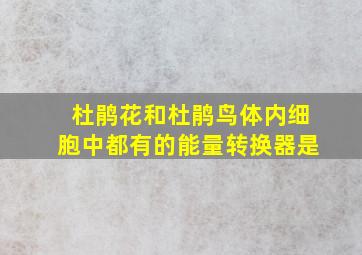 杜鹃花和杜鹃鸟体内细胞中都有的能量转换器是