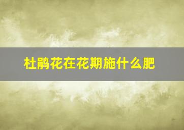 杜鹃花在花期施什么肥