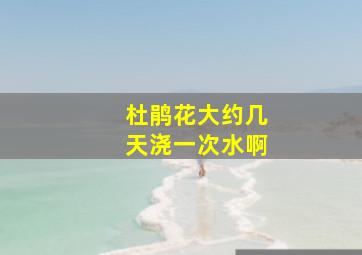 杜鹃花大约几天浇一次水啊