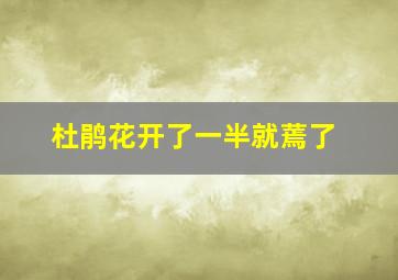 杜鹃花开了一半就蔫了