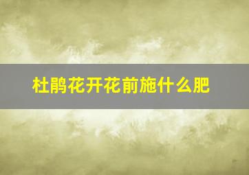 杜鹃花开花前施什么肥