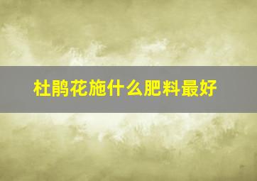 杜鹃花施什么肥料最好