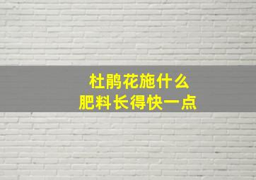 杜鹃花施什么肥料长得快一点