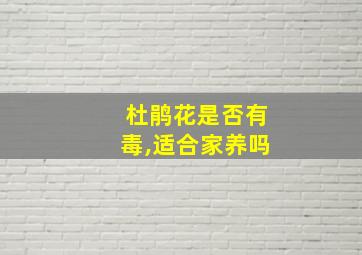 杜鹃花是否有毒,适合家养吗