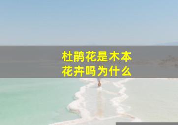 杜鹃花是木本花卉吗为什么