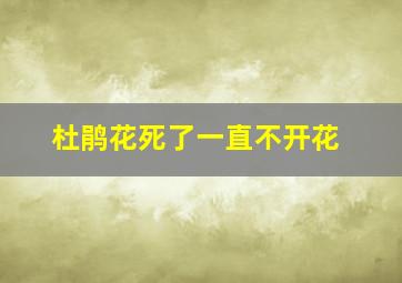 杜鹃花死了一直不开花