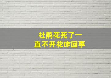 杜鹃花死了一直不开花咋回事