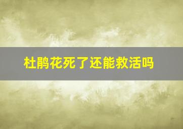 杜鹃花死了还能救活吗