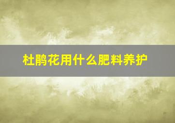 杜鹃花用什么肥料养护