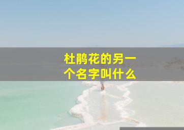 杜鹃花的另一个名字叫什么