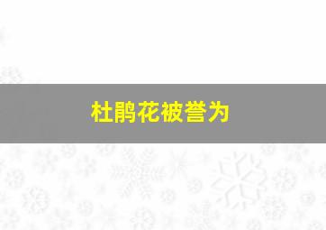 杜鹃花被誉为