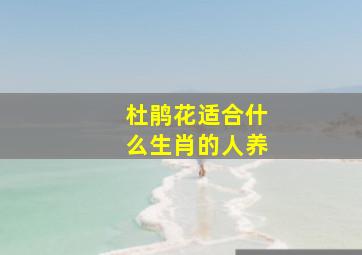 杜鹃花适合什么生肖的人养