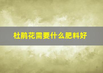 杜鹃花需要什么肥料好