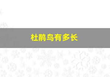 杜鹃鸟有多长