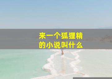 来一个狐狸精的小说叫什么