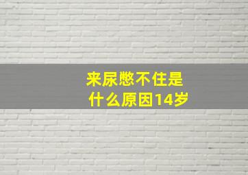 来尿憋不住是什么原因14岁