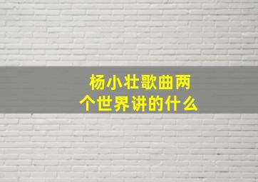 杨小壮歌曲两个世界讲的什么