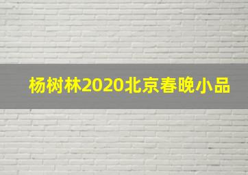 杨树林2020北京春晚小品