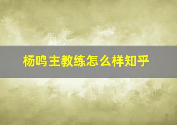 杨鸣主教练怎么样知乎