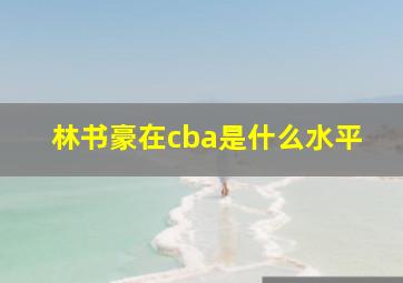 林书豪在cba是什么水平