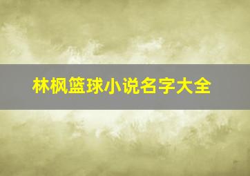 林枫篮球小说名字大全