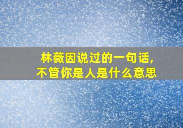 林薇因说过的一句话,不管你是人是什么意思